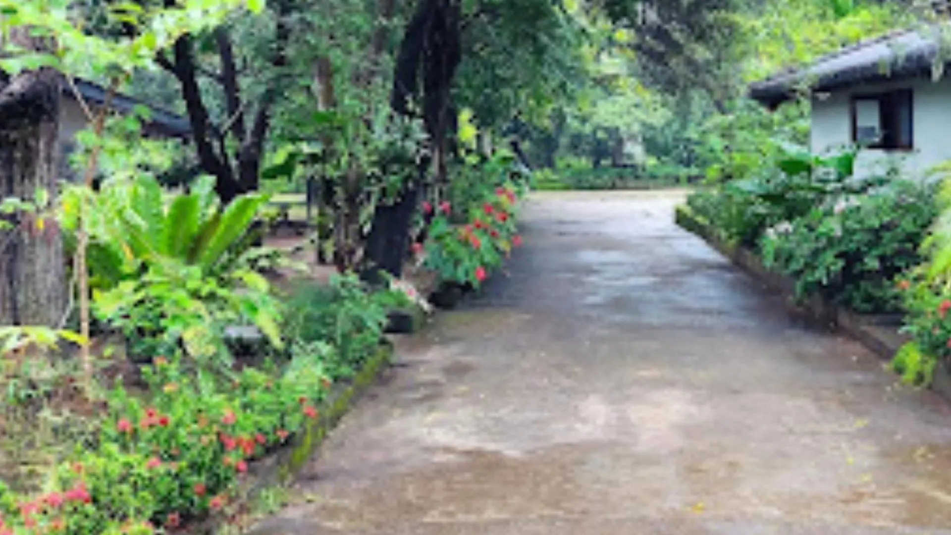 Sundari Eco Village Habarana